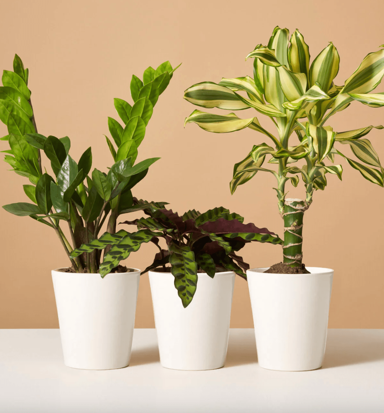 20+ Best Online Gifts for 2024 Digital Gifts to Buy Online