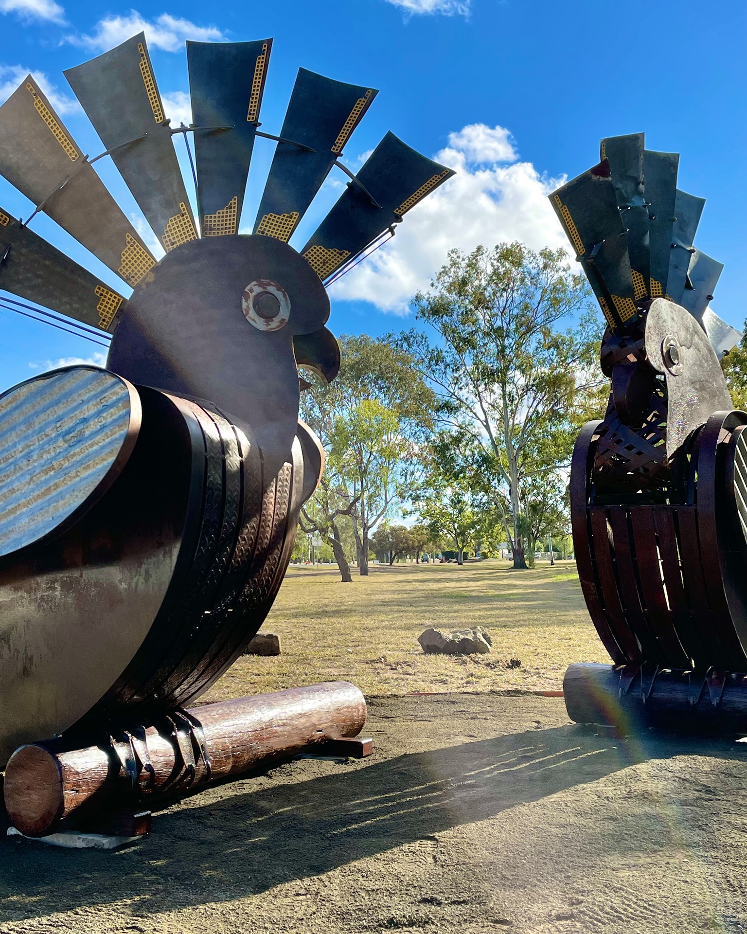 Sculptures Out Back Roma on Bungil Gallery