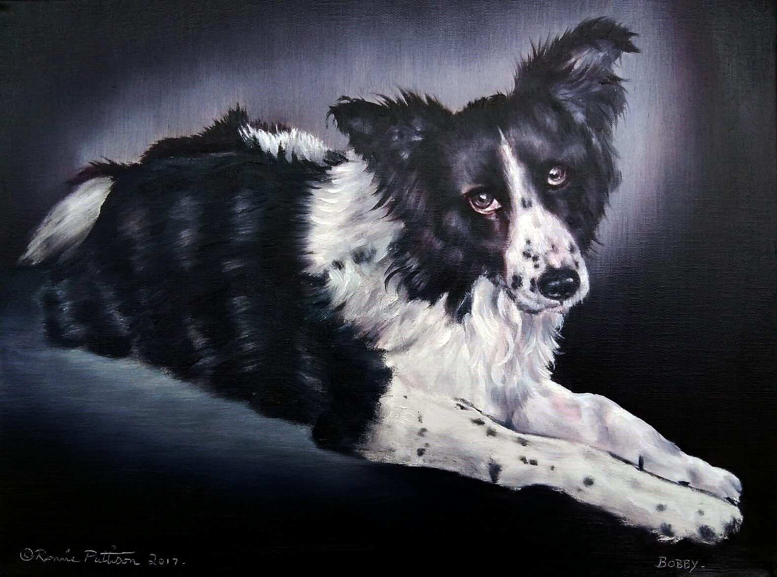 Bobby - Pet Portrait Oil Painting
