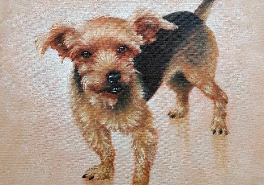 Pippin - Pet Portrait Painting