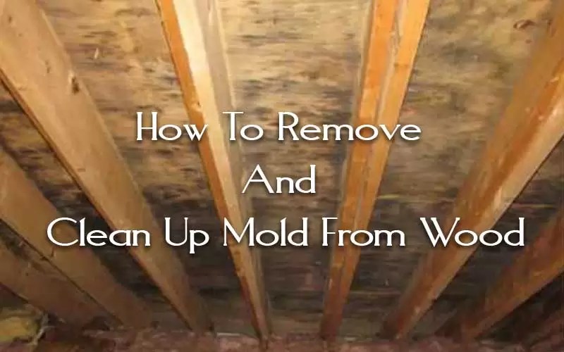 How To Remove and Clean Up Mold From Wood?