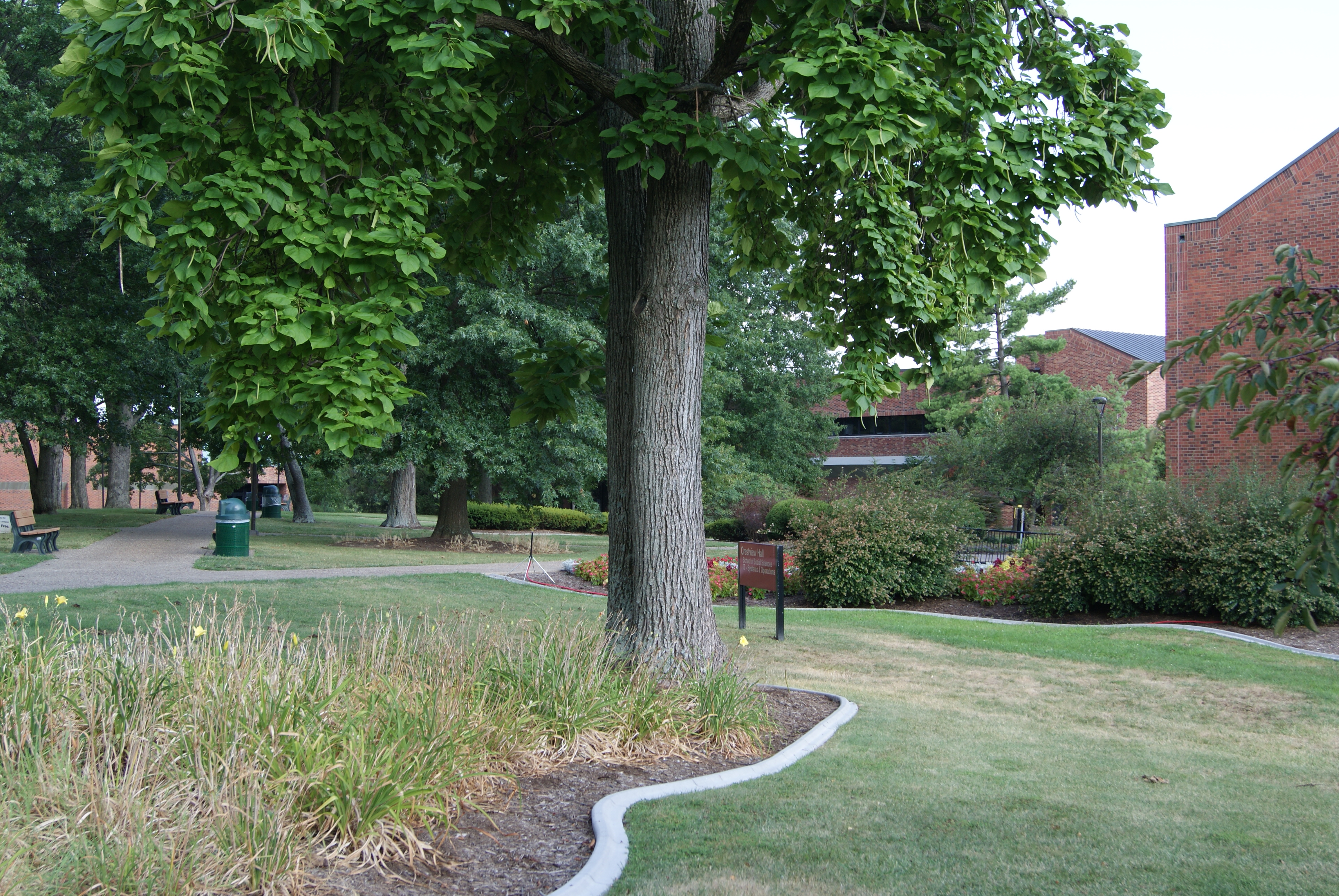 J354 Photojournalism Editing