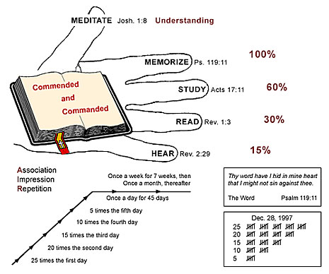 Books Of The Bible Memorization Chart - Ponasa