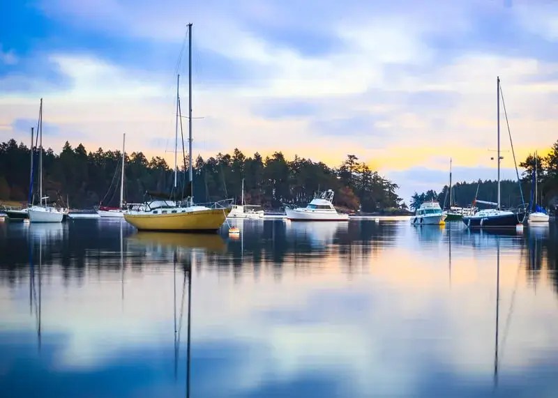 Ron Neal Real Estate Agent Victoria BC Homes for Sale from Top Realtors