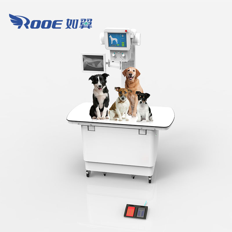 Horse/Cat/Dog Pet X Ray Machine Price Veterinary Imaging Equipment
