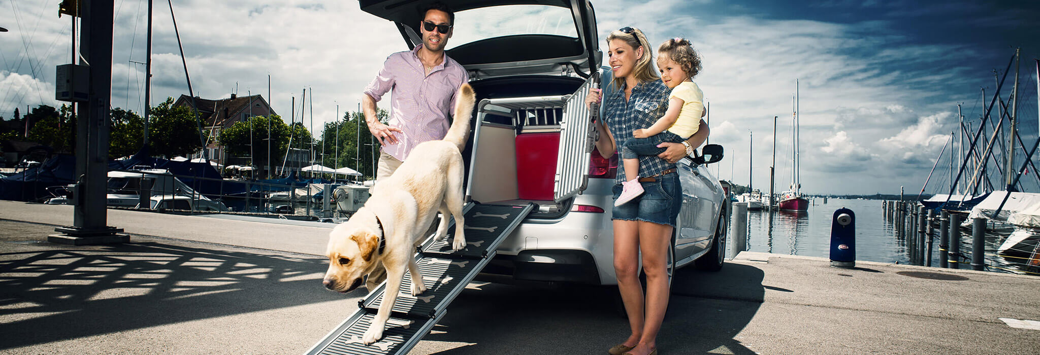 4pets ProLine TÜV approved dog cages Crash Tested Dog Cages+