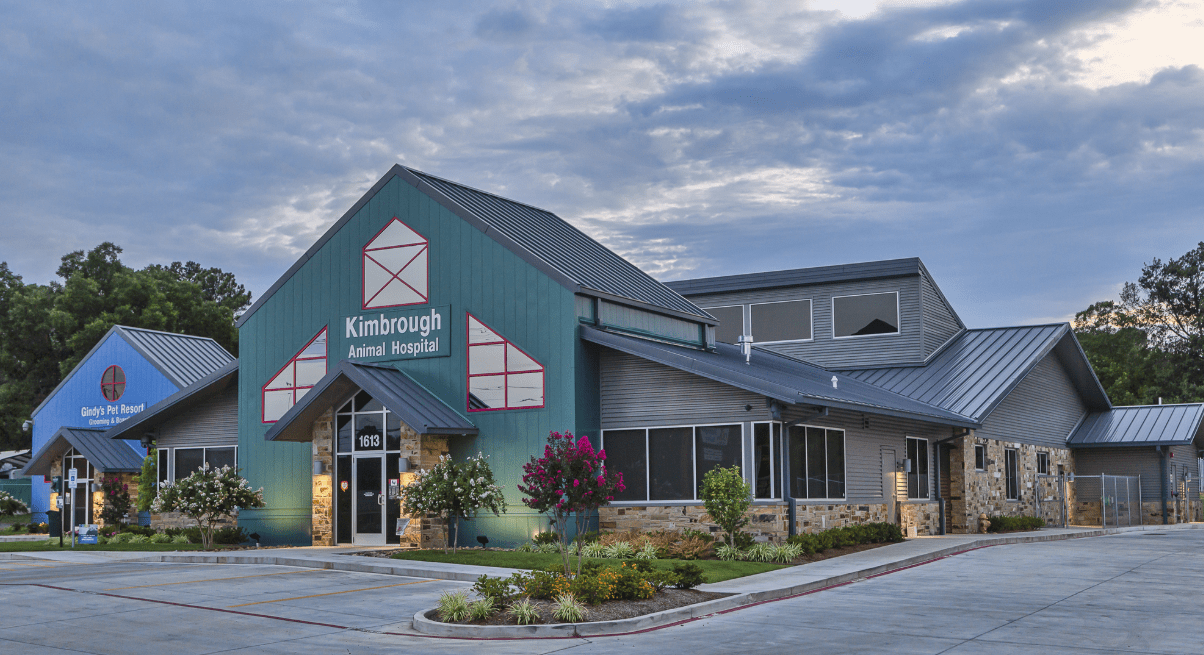 Colorful Exterior for Veterinary Hospital Comes Together Without a