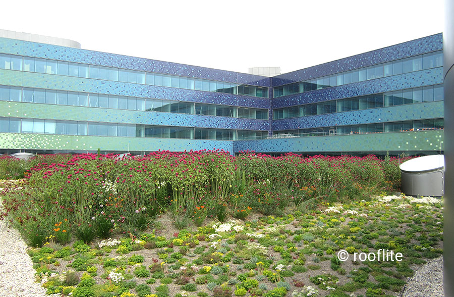 MERCY WEST HOSPITAL rooflite Green Roof Media Products