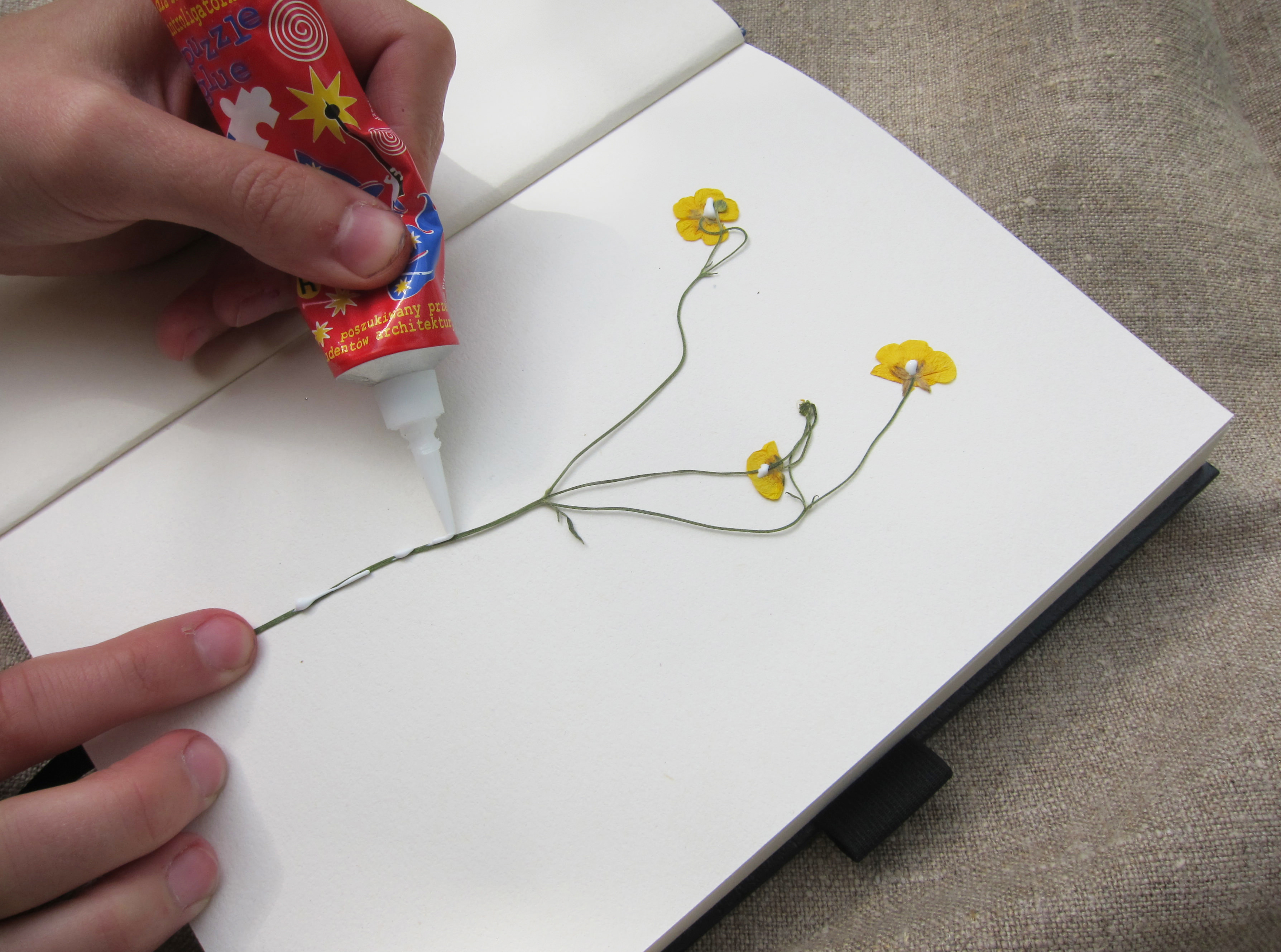 How To Glue Pressed Flowers To Card at Dennis Spitz blog