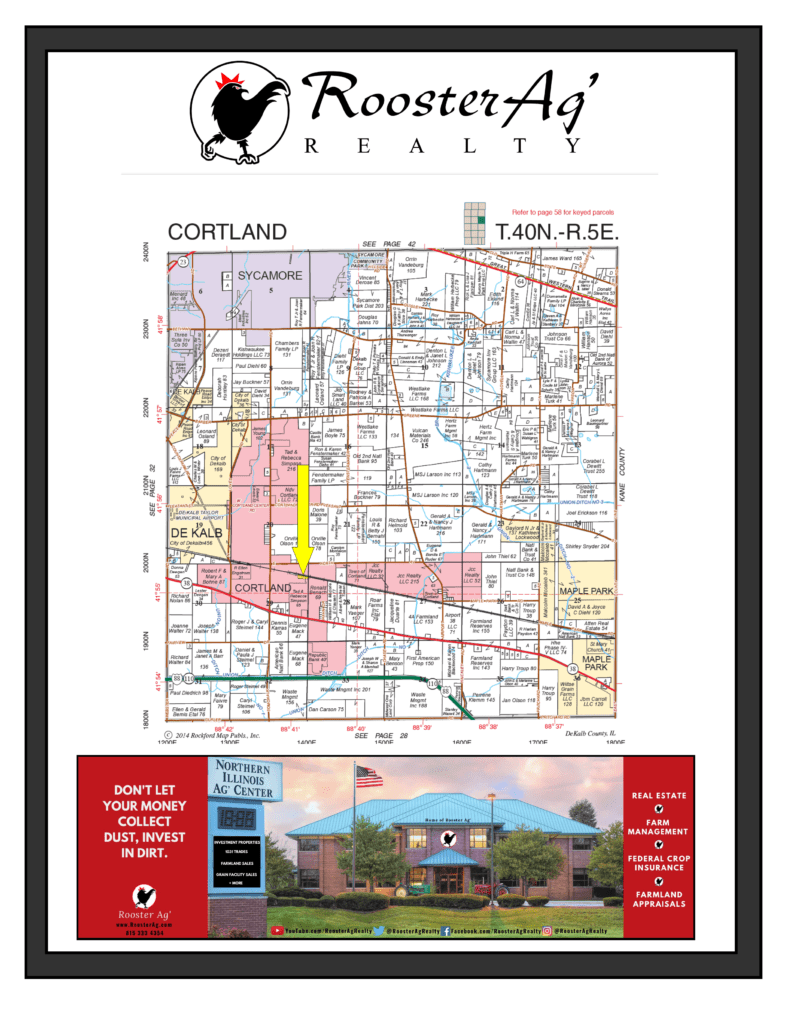 DeKalb County, Cortland Grain Facility Commercial For Sale Rooster