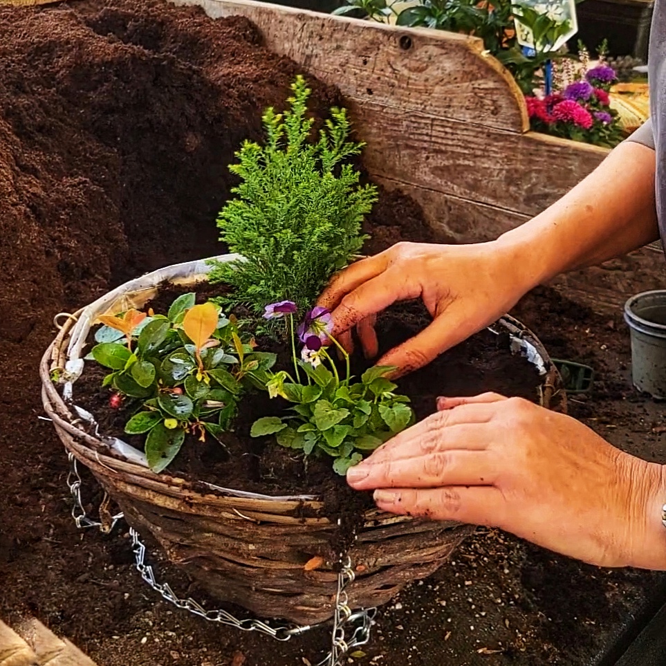 A StepbyStep Guide to Crafting Your Own Hanging Baskets Root One