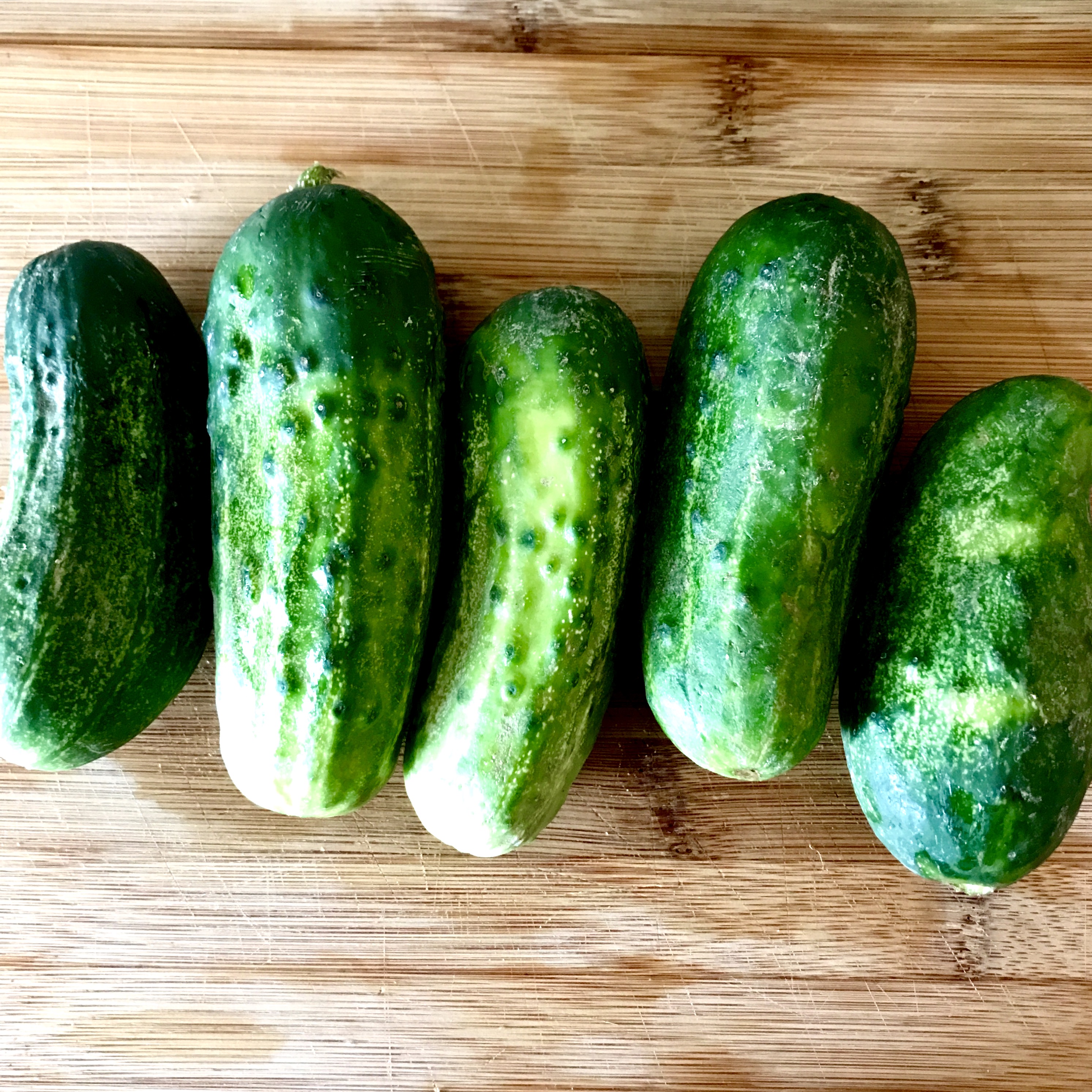 Fresh Dill Pickles Rooted Magic