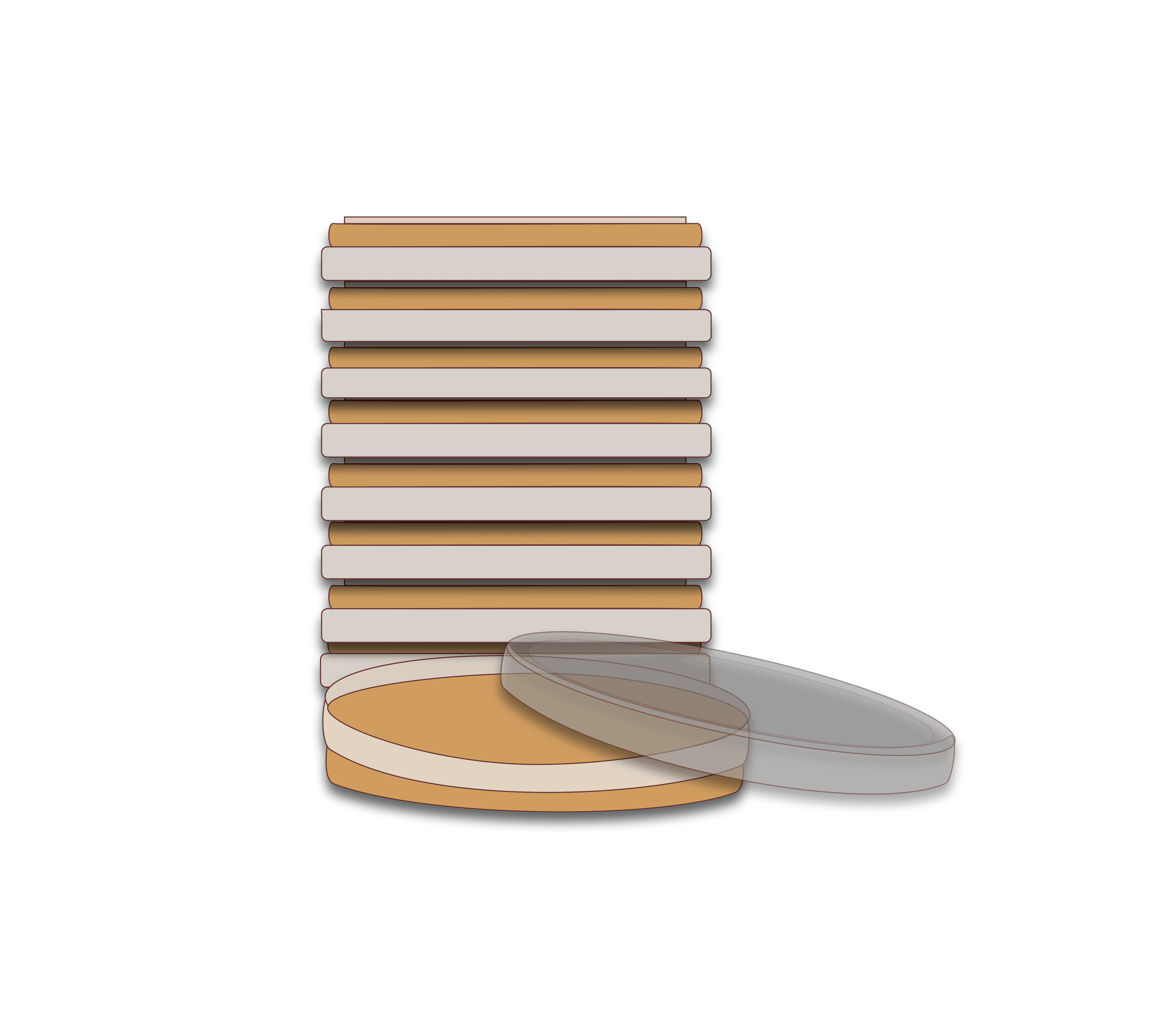 PrePoured Agar Plates Rootlab