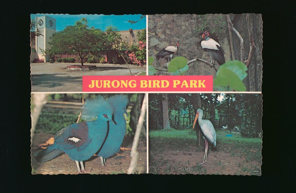 The entrance to the Jurong Bird Park and various bird exhibits
