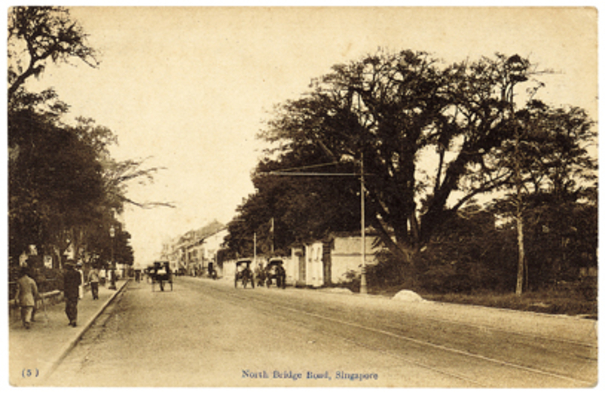 c1910 North Bridge Road towards High Street Postcard