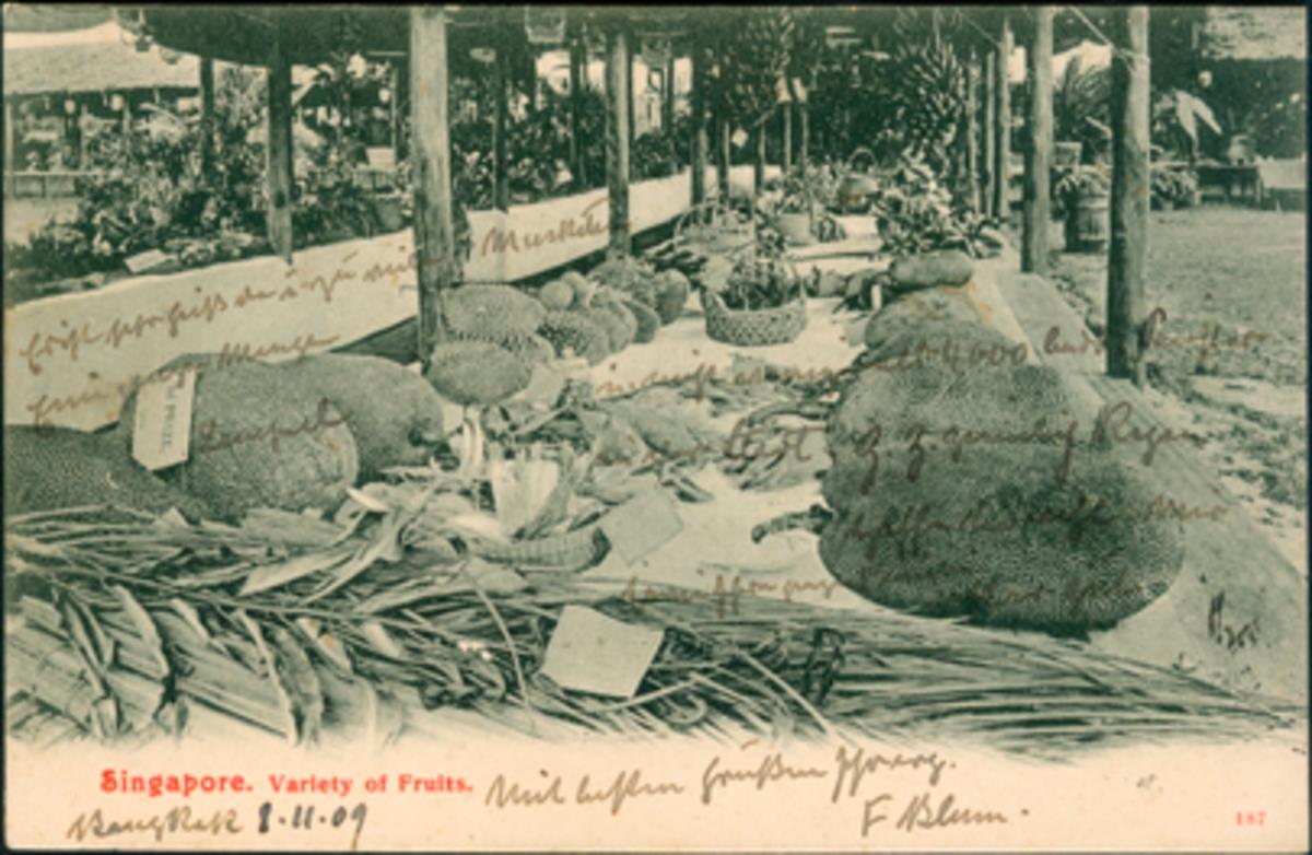 Variety of fruits, Singapore.