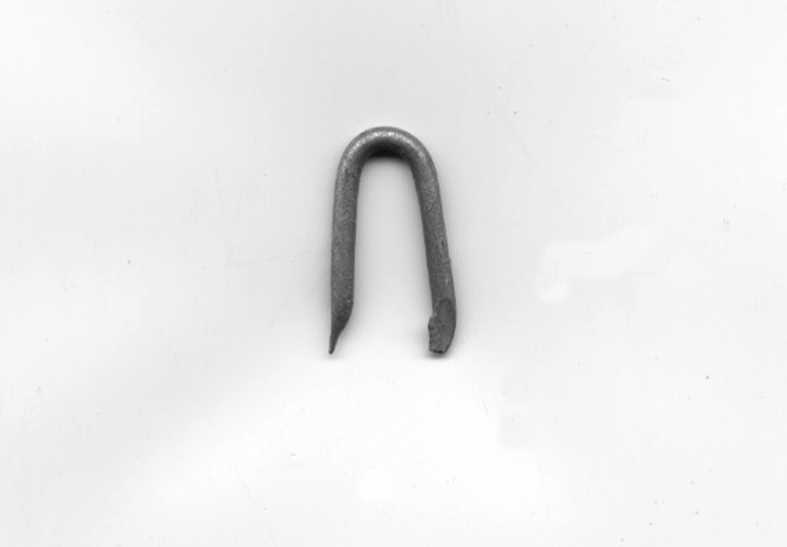 In Praise of Poultry Staples Root Simple