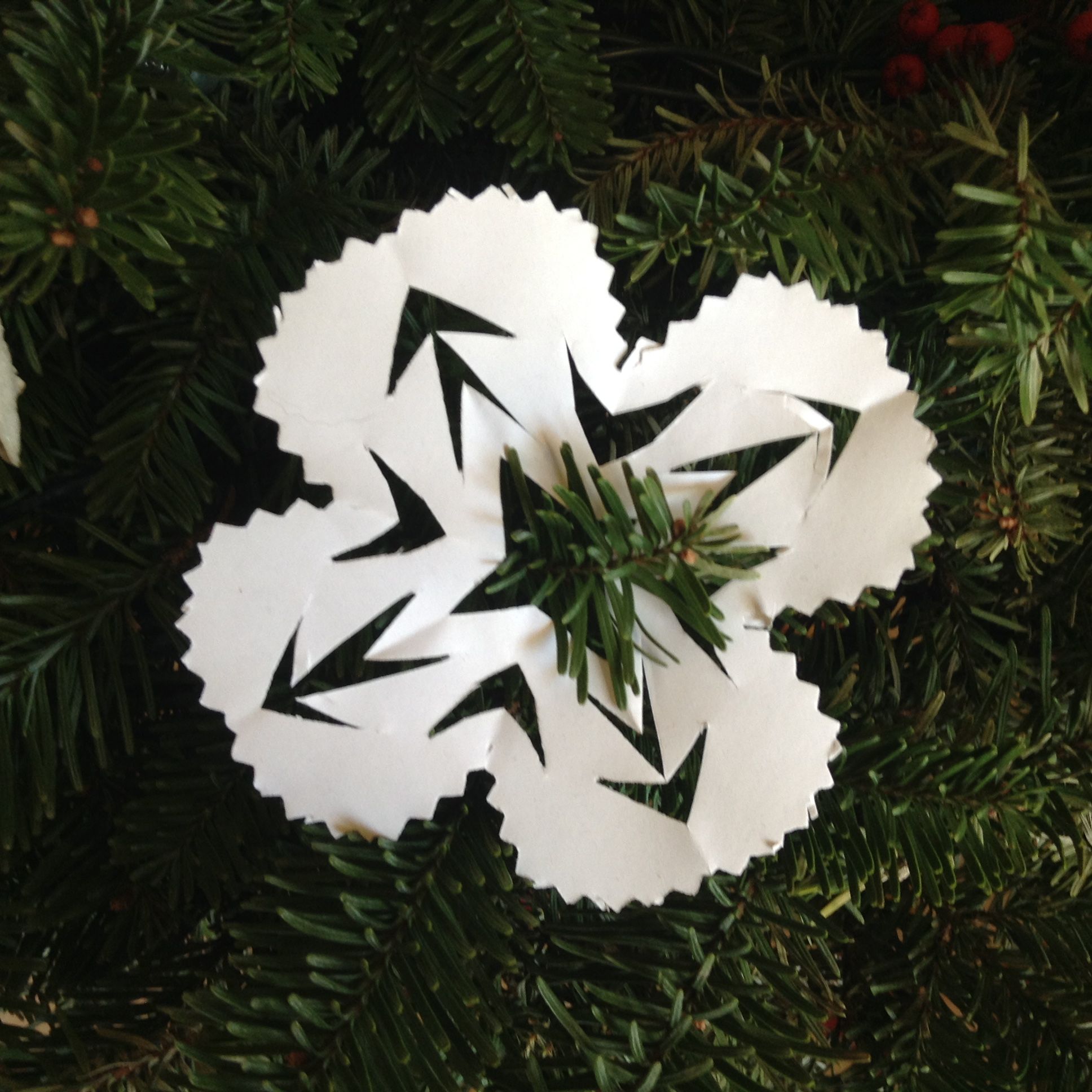 The Christmas tree Root Simple