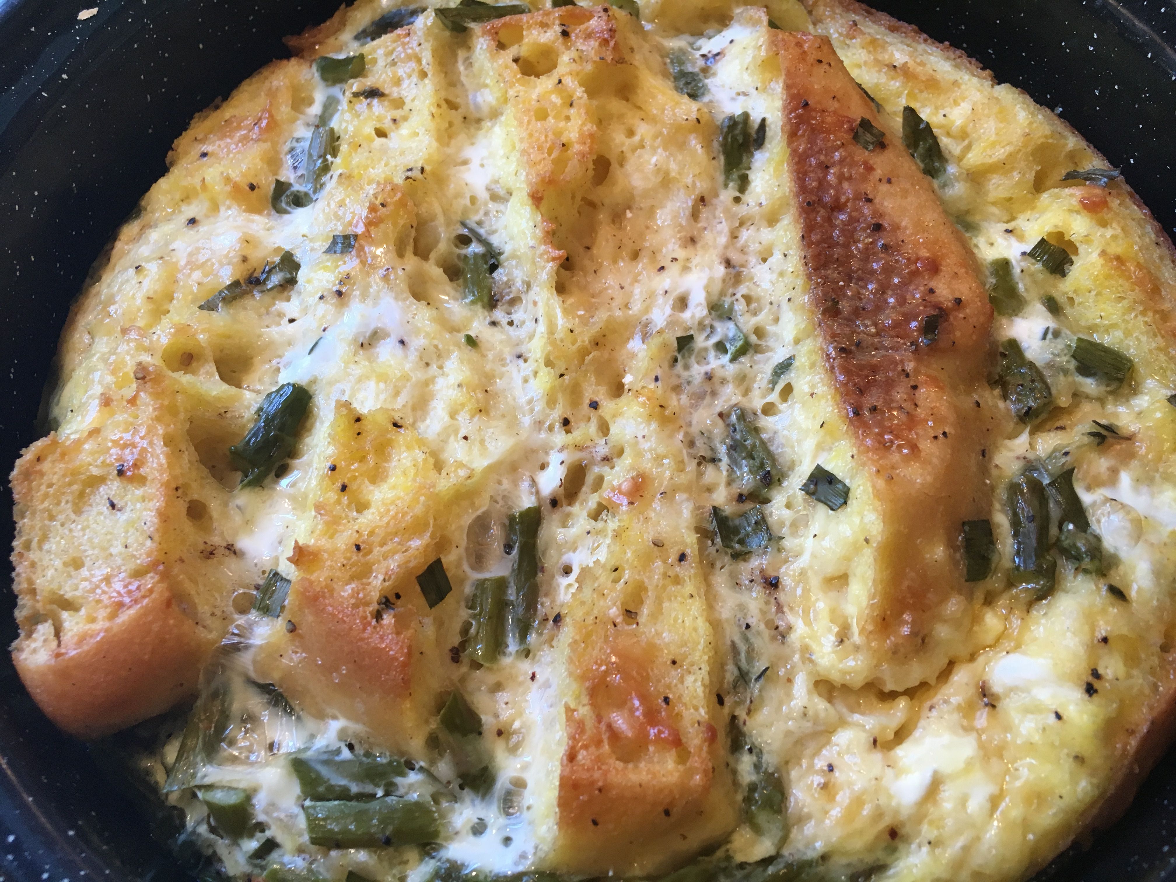 Solar Oven Triumph Fluffy Egg Strata Root Simple