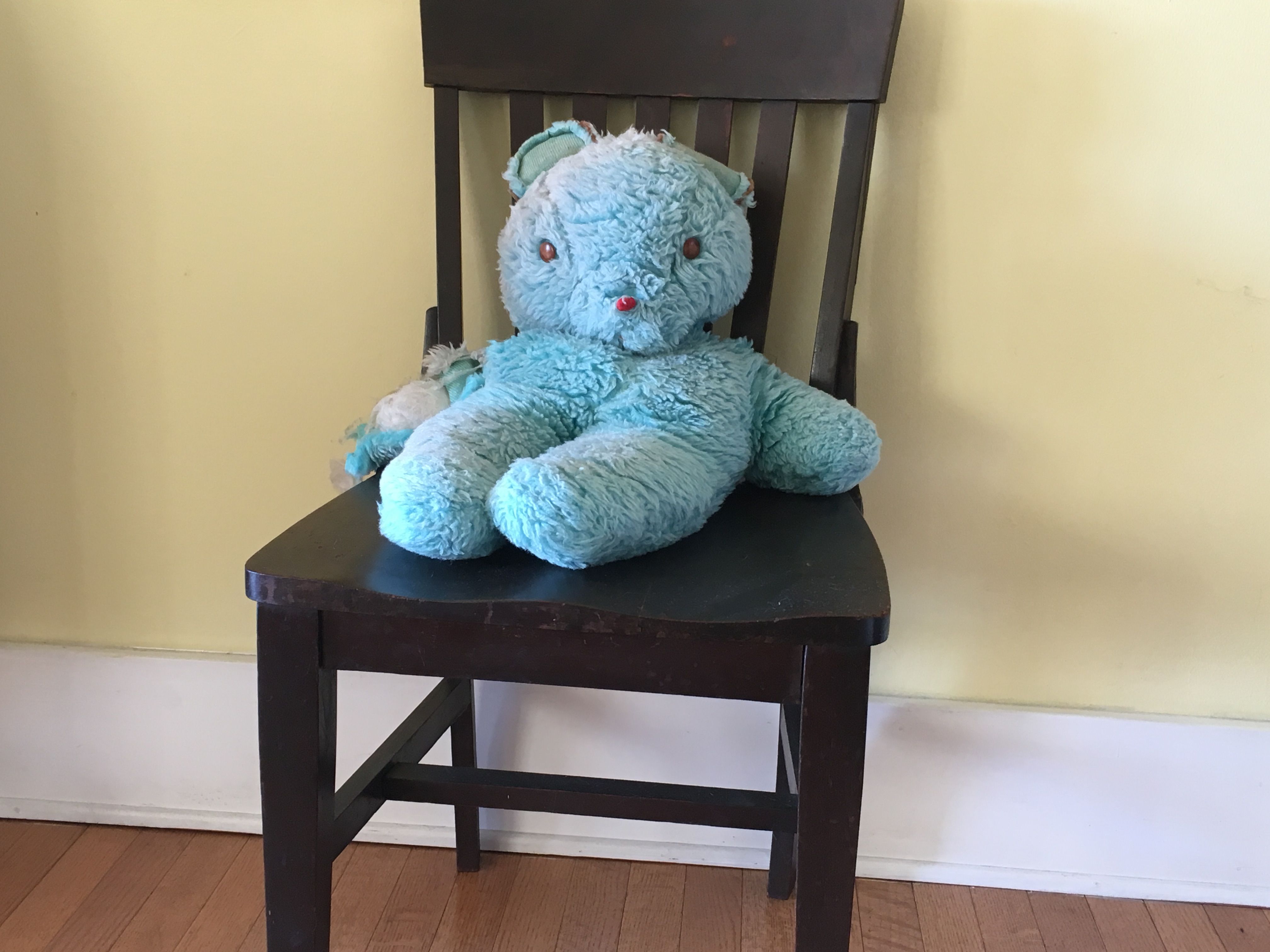 The Blue Bear Root Simple