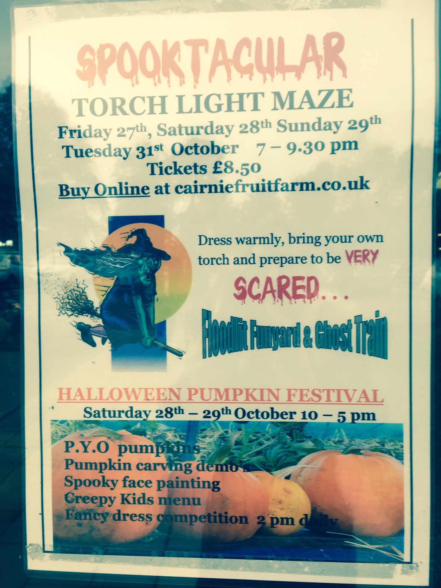 Spooky Night Rose Cottage