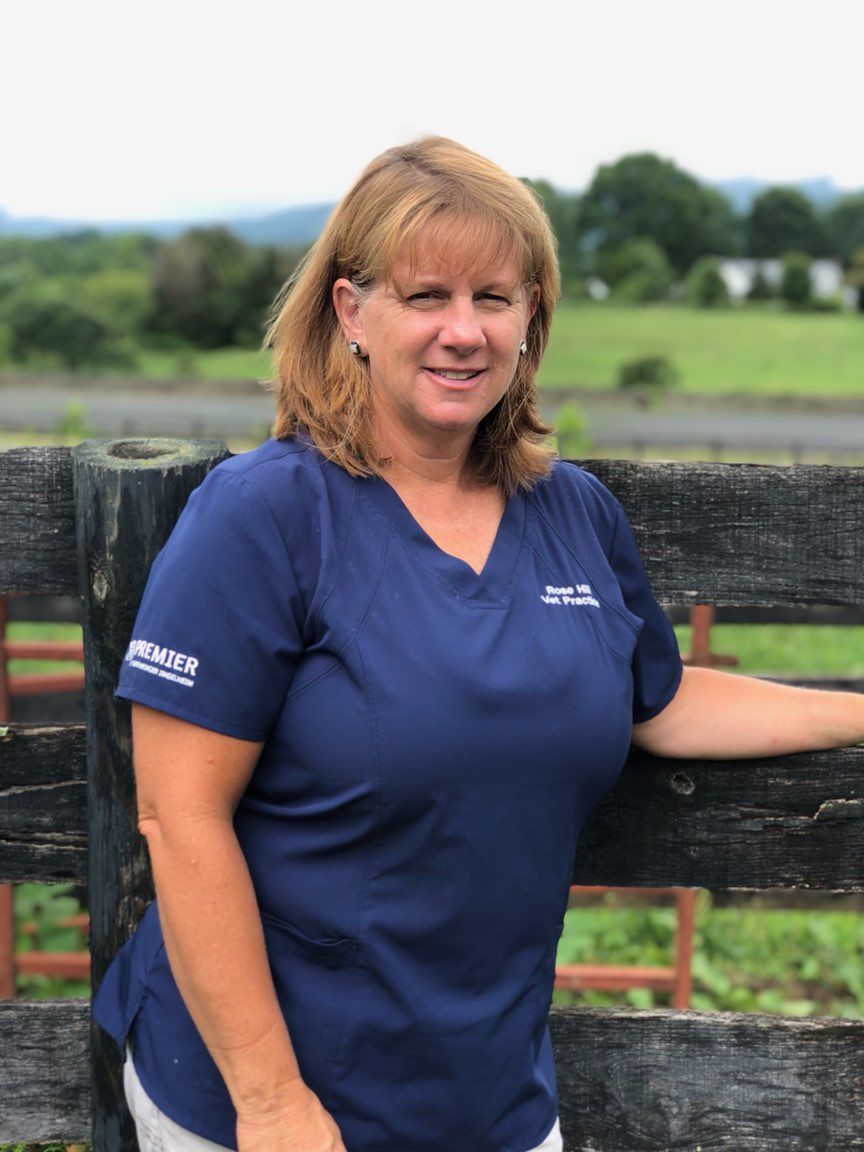 Small Animal Veterinarians Rose Hill Veterinary Practice, P.C.