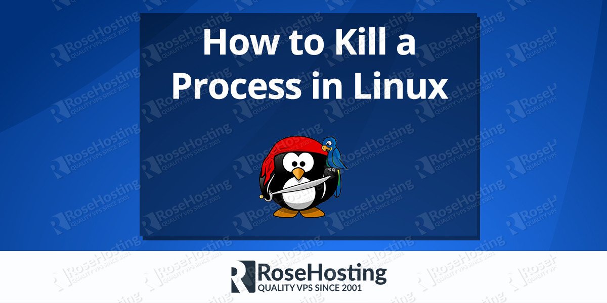 How to Kill a Process in Linux RoseHosting