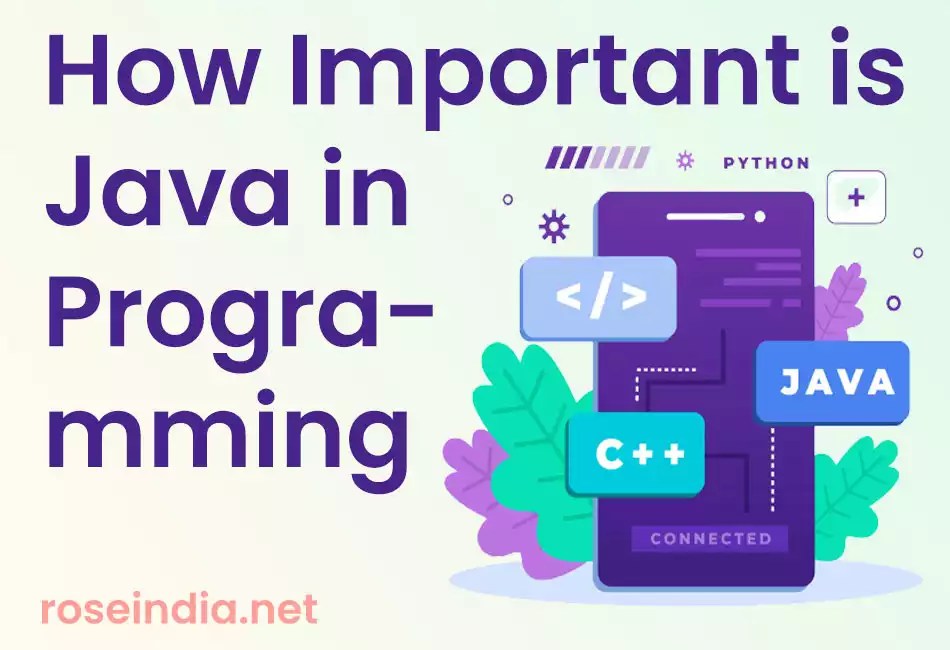 Will Java still be used in 2024?