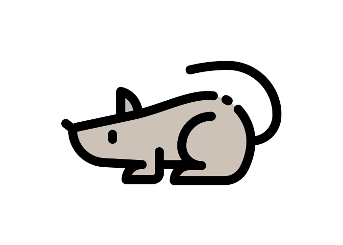 Rose Pest Control Chicagoland's Most Trusted Exterminators