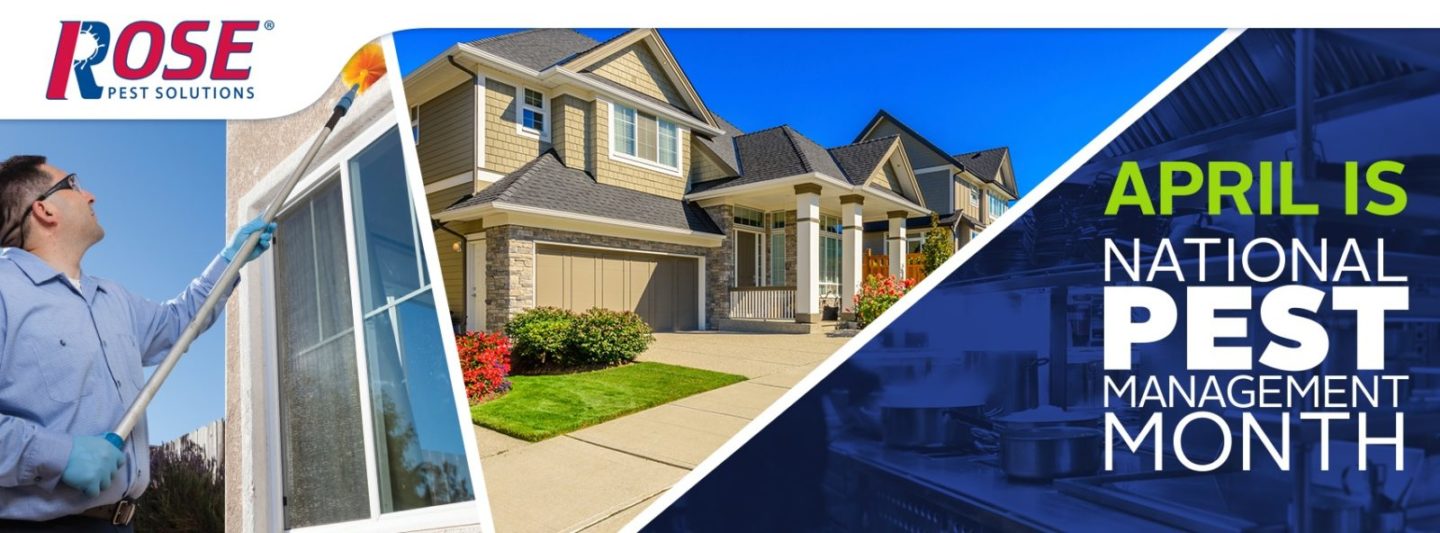 Chicago Pest Management Monthly Tips & Information