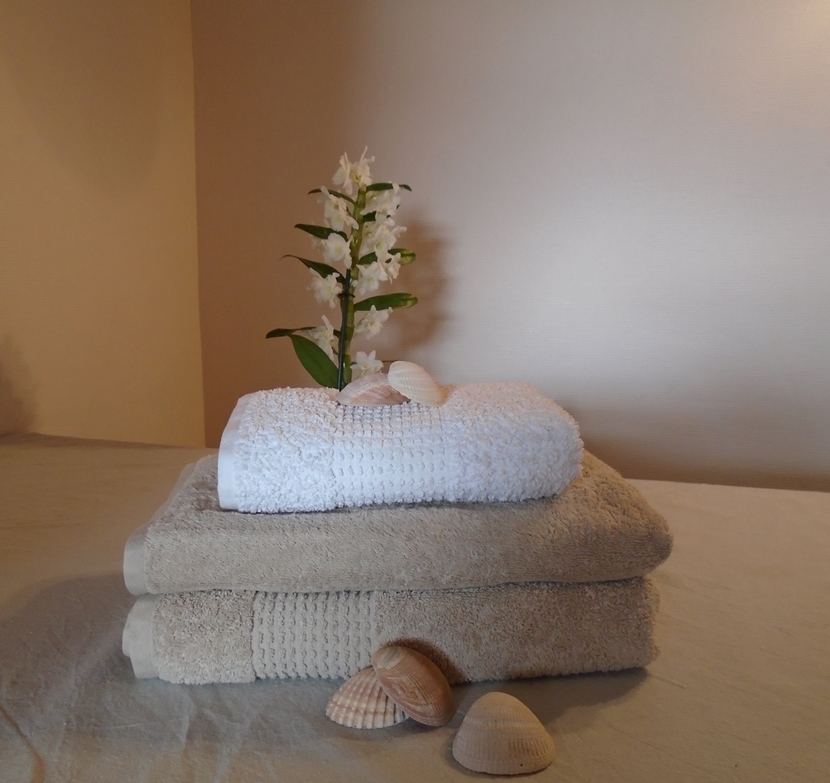 Location de linge de maison