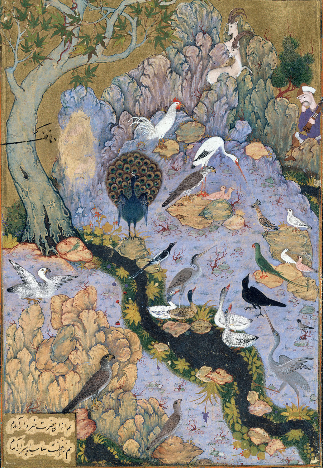 About The Parliament of the Birds Ross Shaman, Spiritual Teacher, Healer and Author