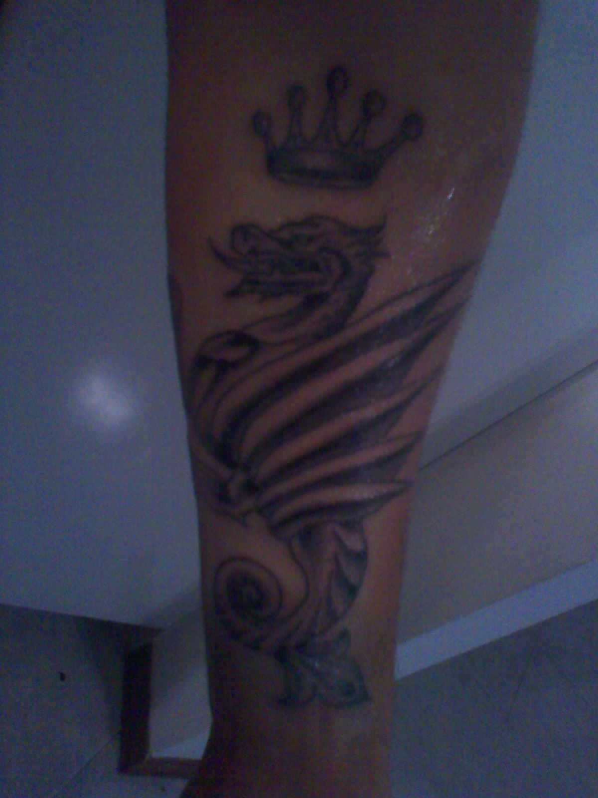 Tatuaggio Drago Della Ternana - Pagina 4 - Discussioni In Libertà - Rossoverdi.com 1600_x_1200_jpg