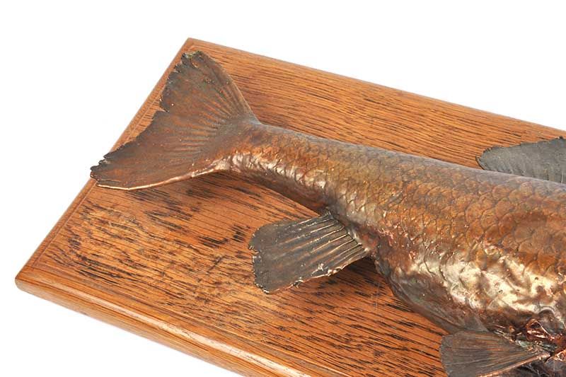 FISH SPECIMEN