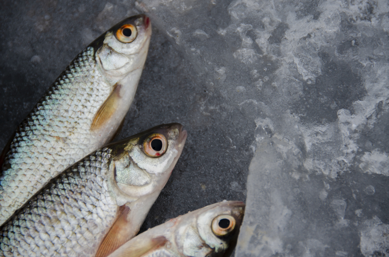 Why Do We Catch Colds More in Winter? The Three Factors Explained