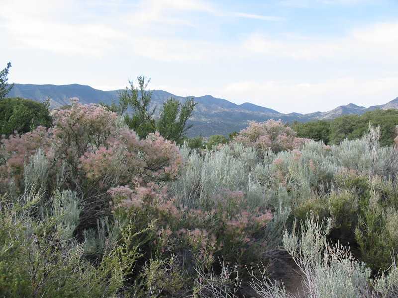 Tres Pistolas Open Space in Tijeras Canyon, New Mexico