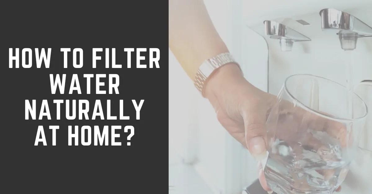How to Filter Water Naturally at Home [June 2024 ] RO System Guides
