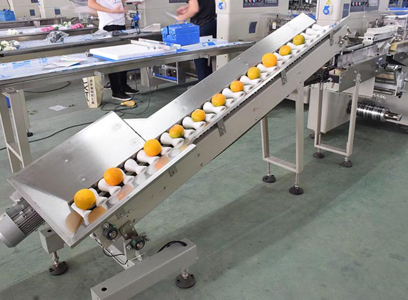 Automatic Spherical Fruit And Vegetable Packing Machine for Orange