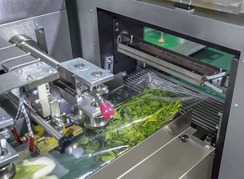 Automatic Lettuce Vegetable Packaging Machine