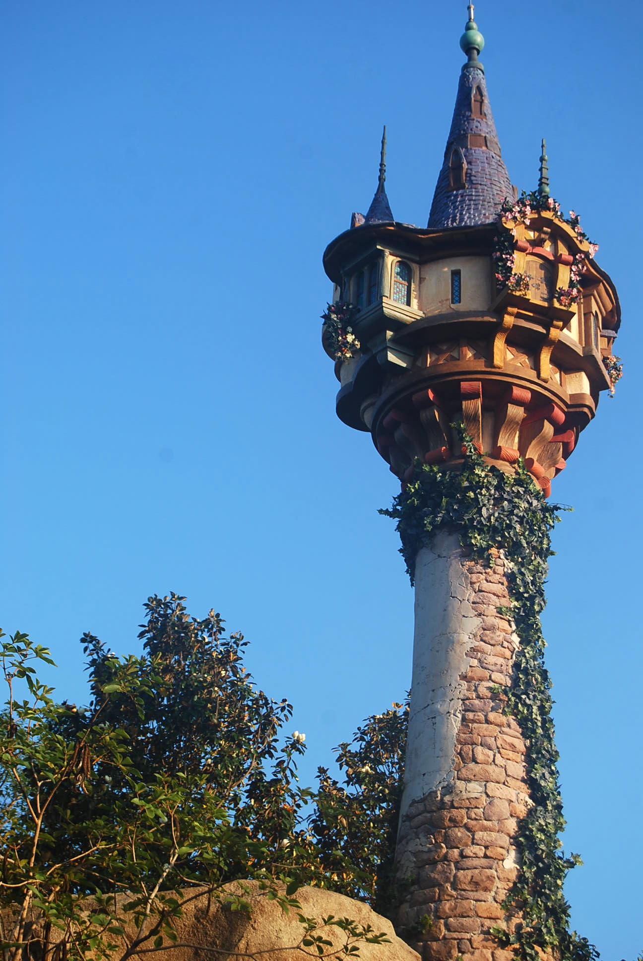  Rapunzel’sToweratMagicKingdom