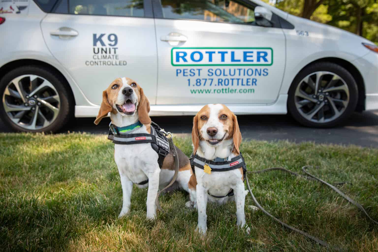 Get Rid Of Bed Bugs In Missouri Bed Bug Heat Treatments Rottler