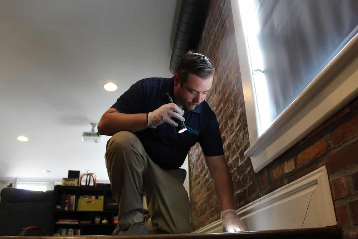 The Importance of YearRound Pest Control Rottler Pest Solutions