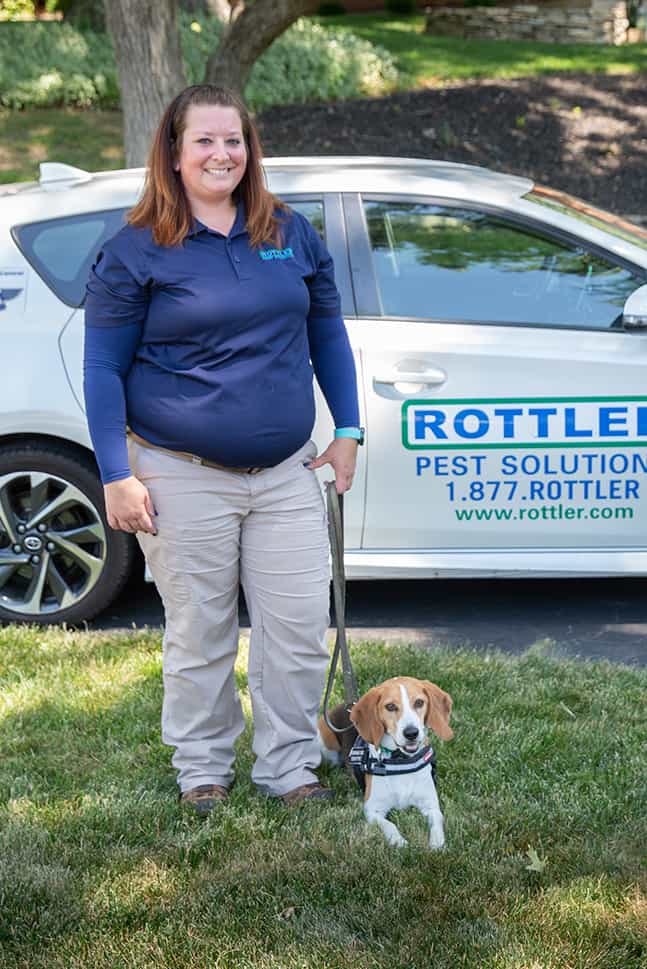 St. Louis Termite, Bed Bugs, Rodents, Mosquitoes, & More Rottler