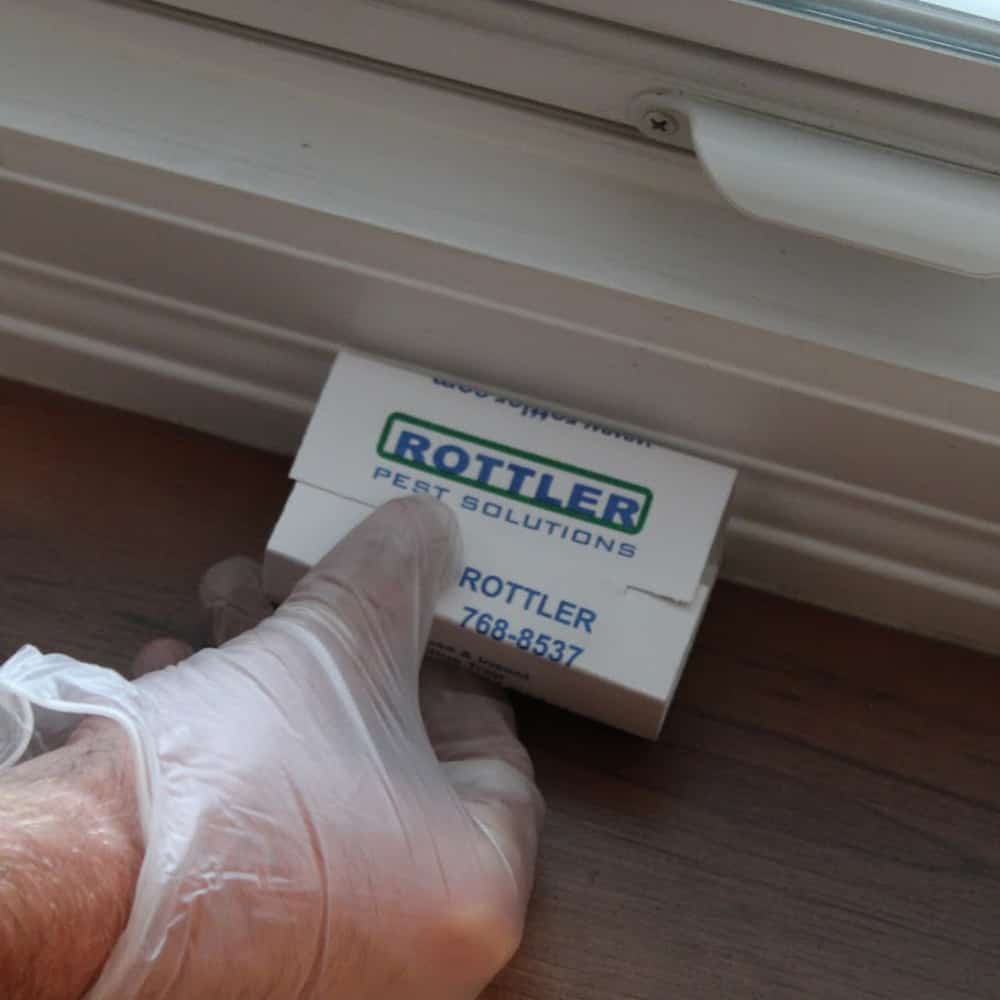 Fairview Heights Pest Control Local Exterminators Rottler