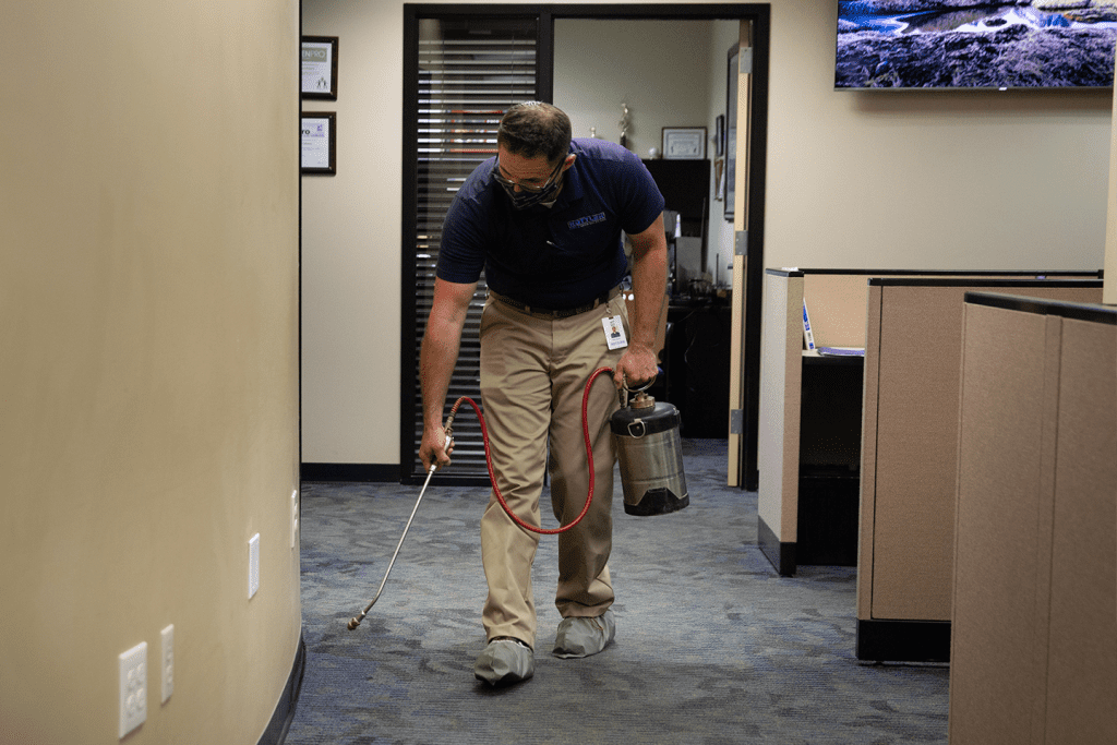 Crawling Insect Control Rottler Pest Solutions