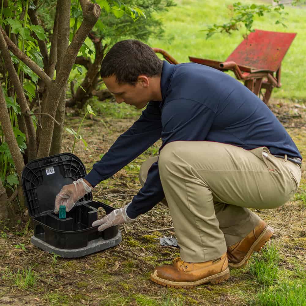 Chesterfield MO Pest Control Exterminators in Chesterfield Rottler