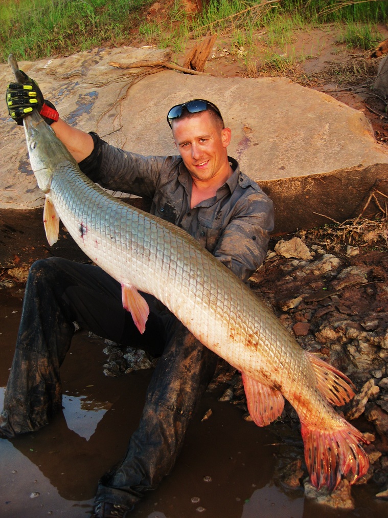 Gigantic Longnose Gar