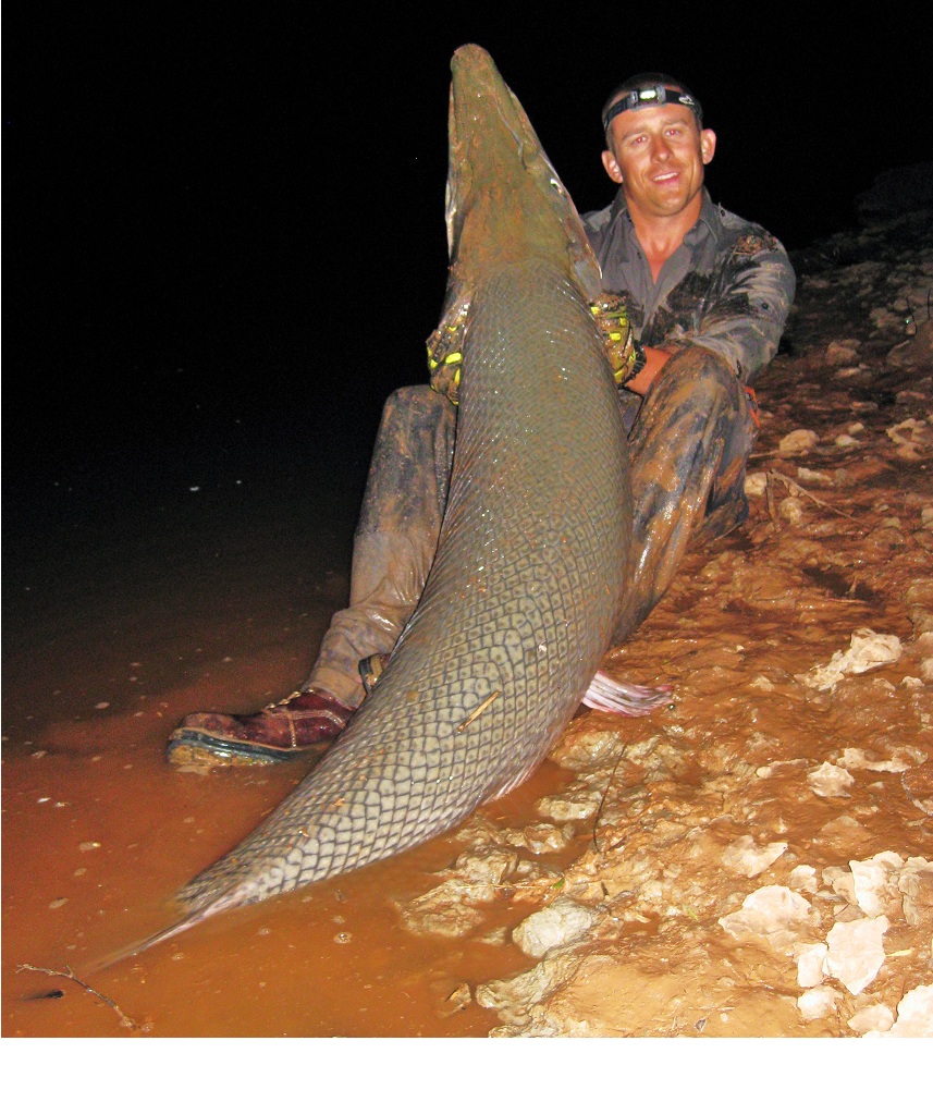 Alligator Gar