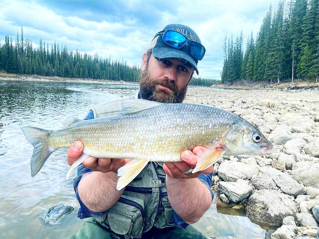 Big Mountain Whitefish