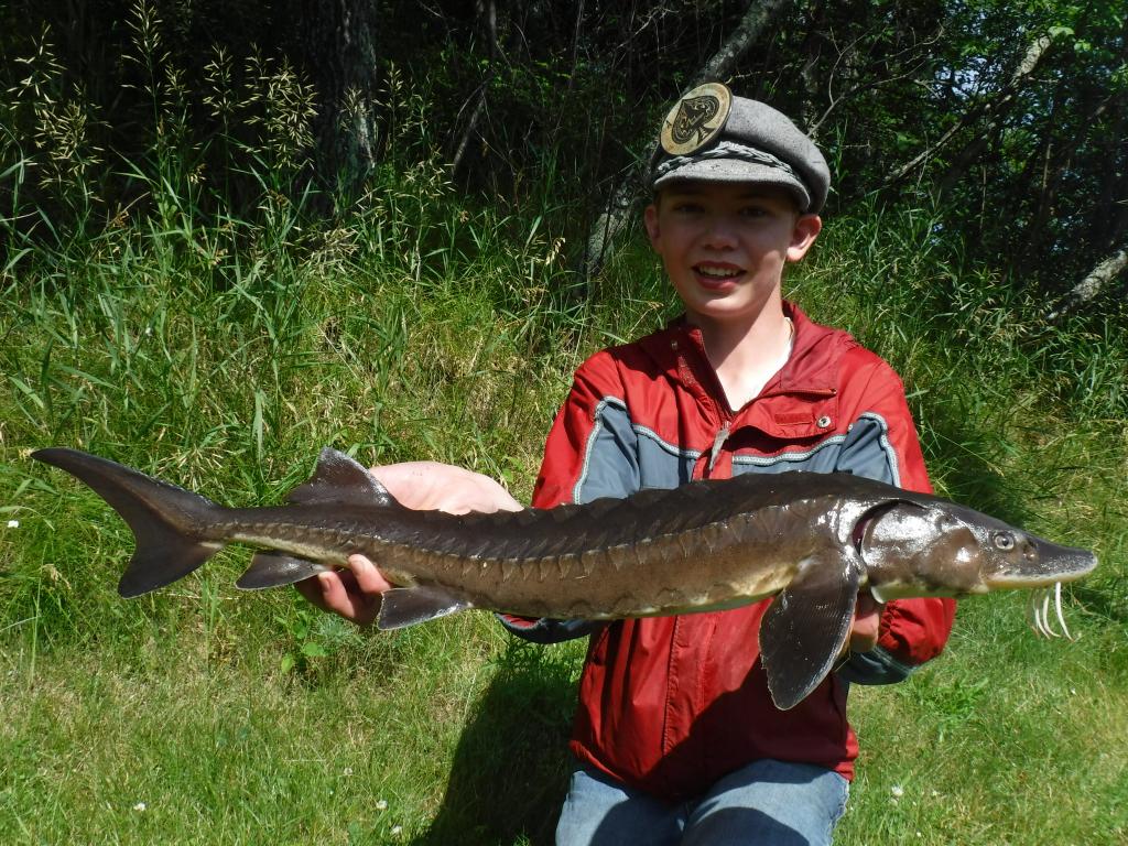 Sturgeon, Lake